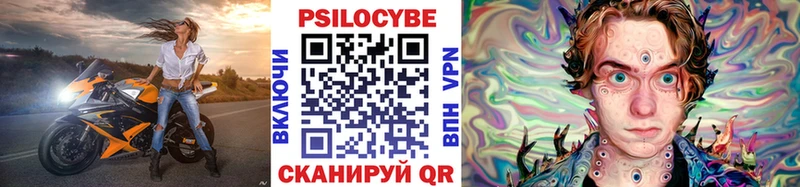 Псилоцибиновые грибы Psilocybine cubensis  купить закладку  Покров 